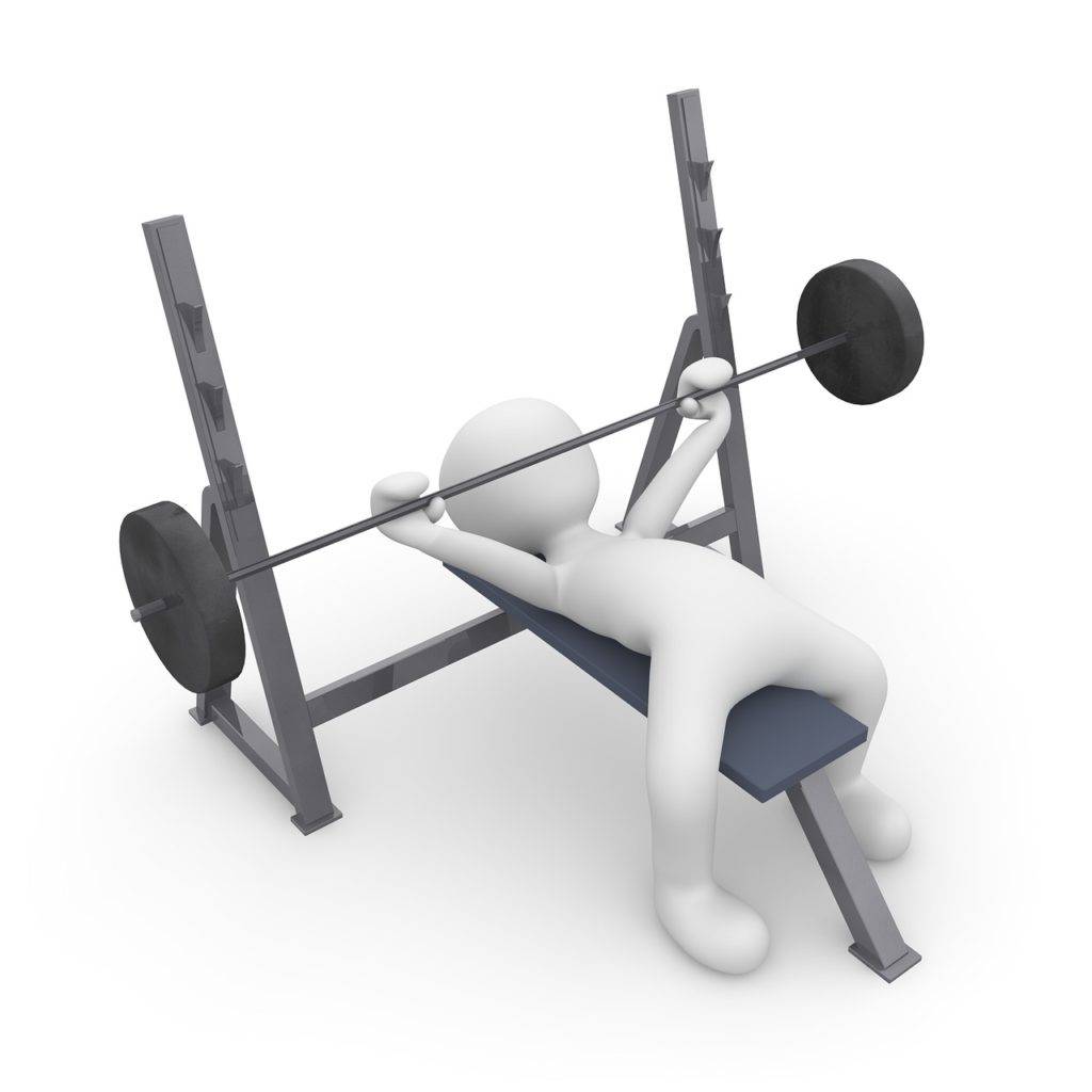 muscle building techniques